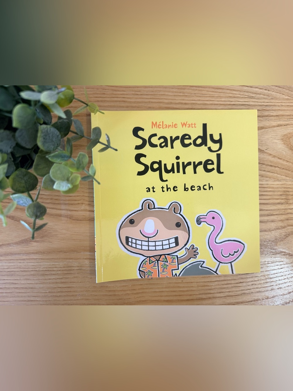 🌿10/$25 • Scaredy Squirrel At The Beach Paperback